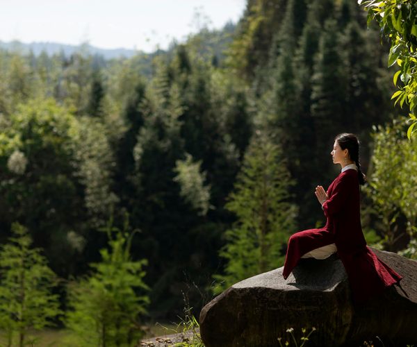 Person meditating peacefully in a beautiful natural landscape.